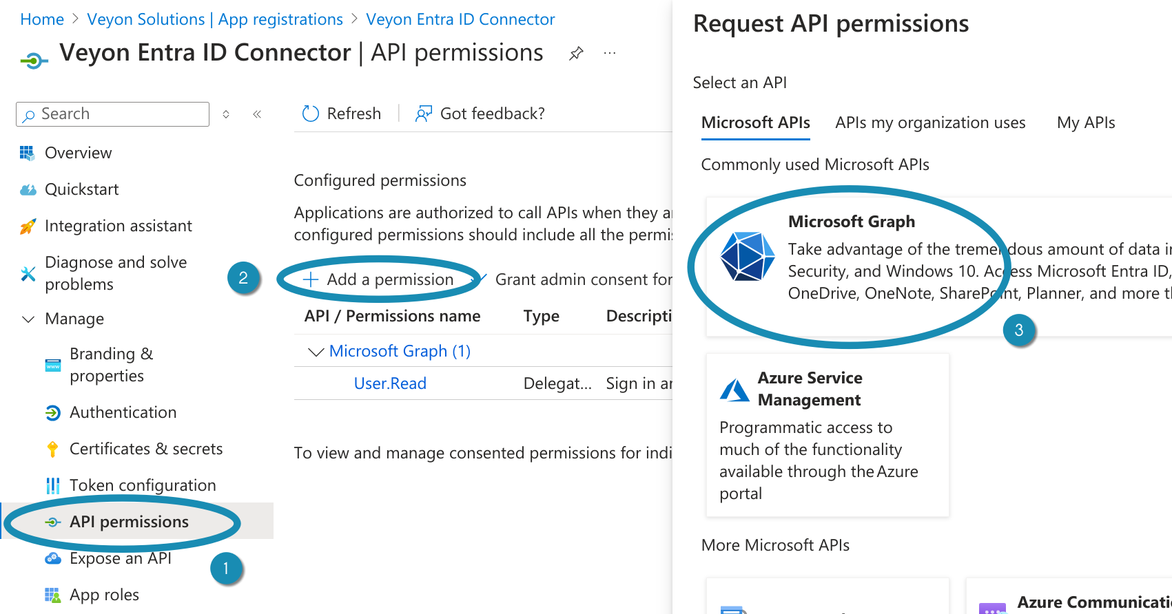 ../_images/entra-id-azure-portal-app-permissions-1.png