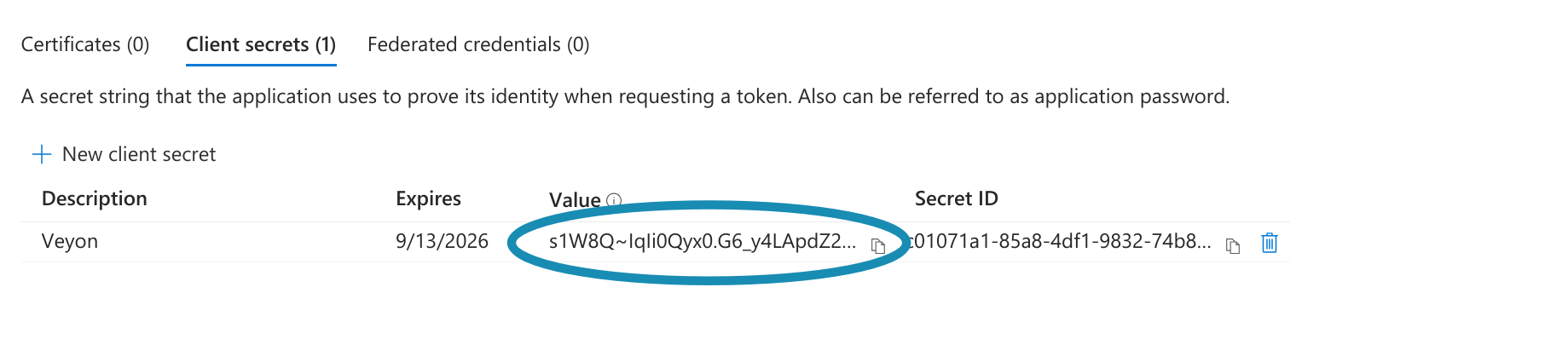 ../_images/entra-id-azure-portal-client-secrets-2.png