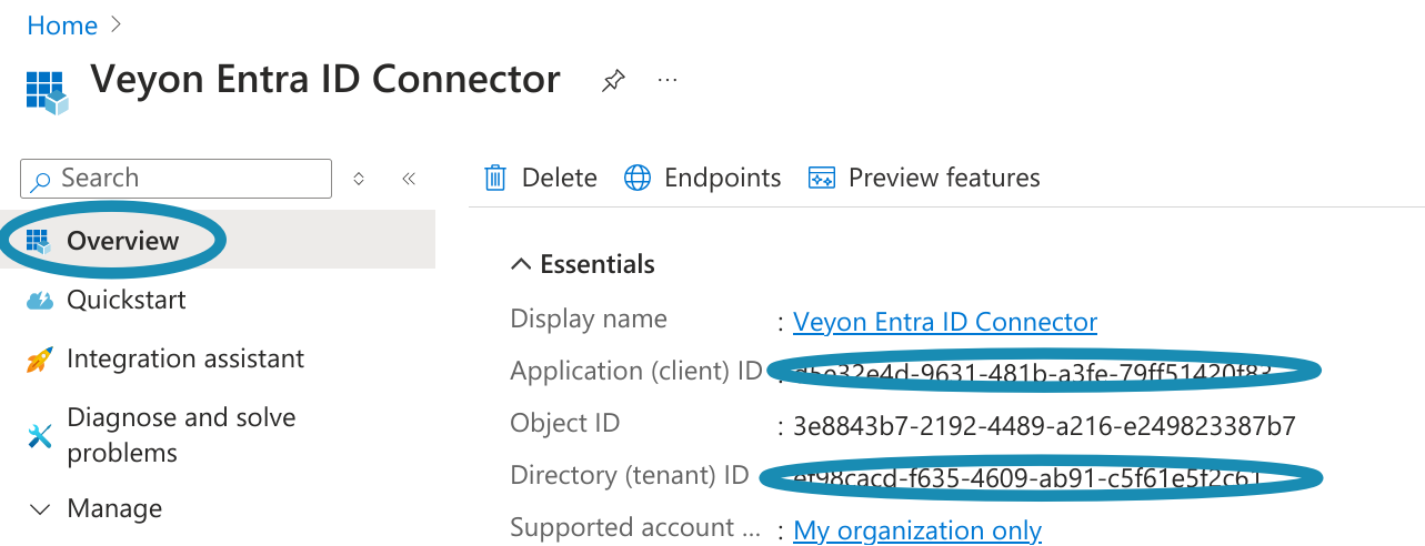 ../_images/entra-id-azure-portal-app-reg-3.png