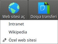 ../_images/OpenWebsiteMenu.png
