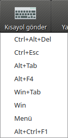 ../_images/RemoteAccessShortcutsMenu.png